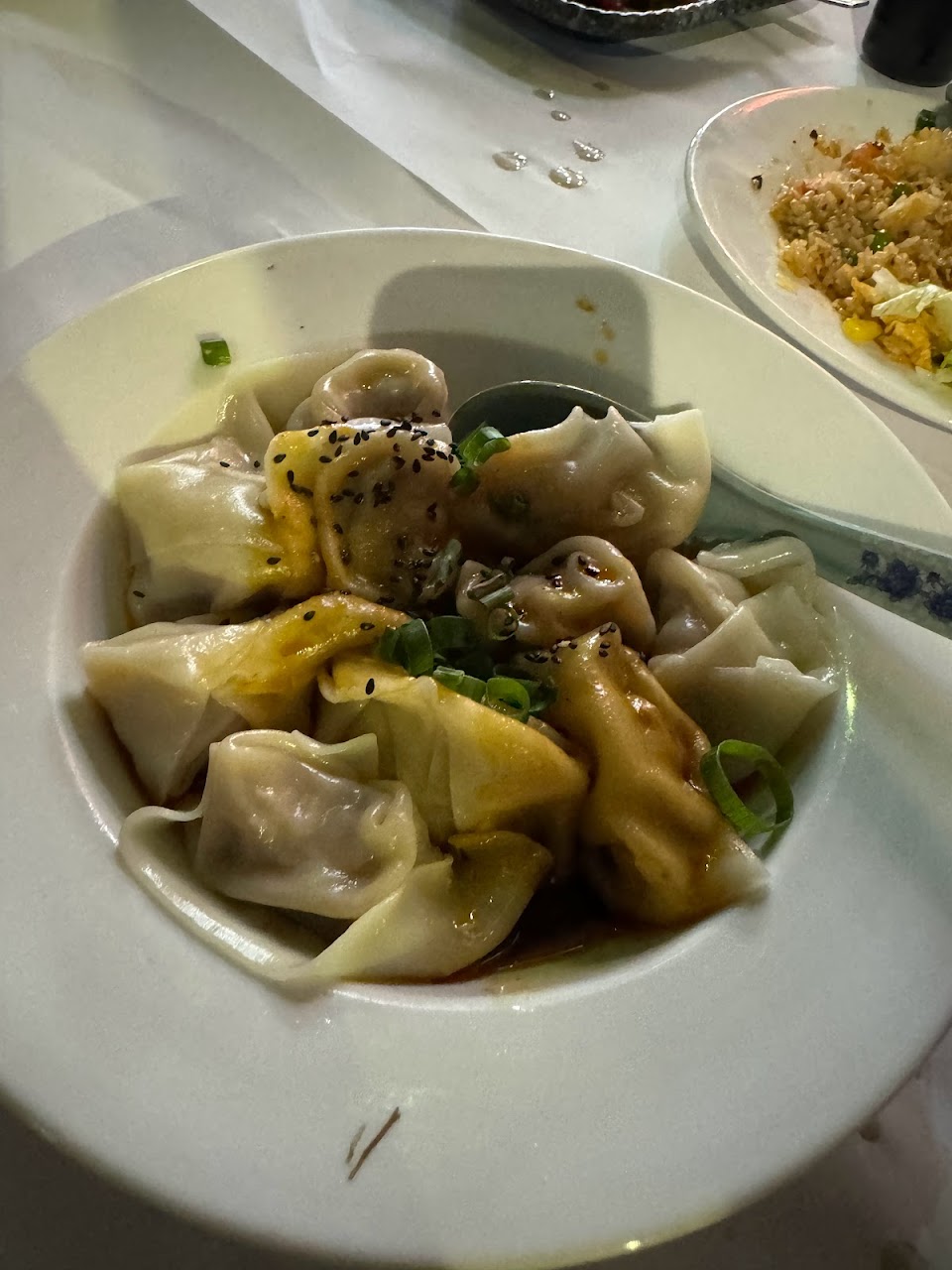 Dumplings at Chinatown Sizzling House